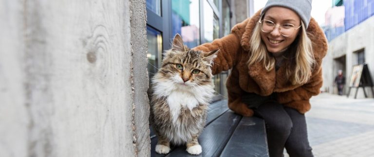 Best Top 10 Ways To Make Your Pets Happy