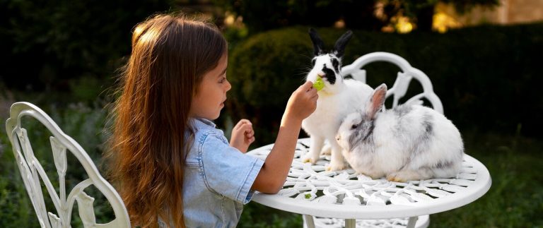 Possessing a dog has mental health benefits