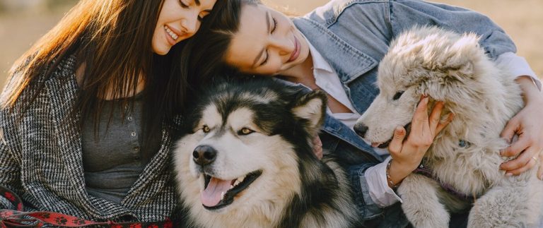 The Best Preventive Vaccination For Puppies